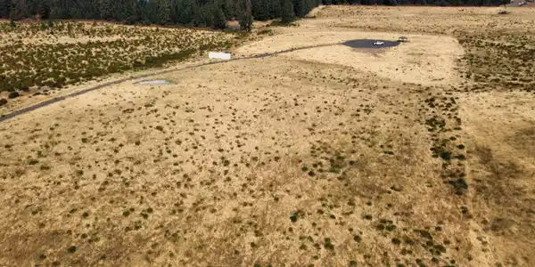 Image 2: dji_fly_20260819_110836_94_1787162926162