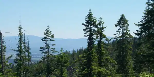 Image 3: Mellick Rd View 3