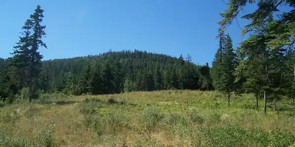 Image 4: Mellick View 4