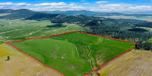 Image 3: 2_SelkirkMedia