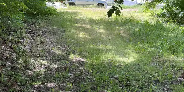Image 3: main 2