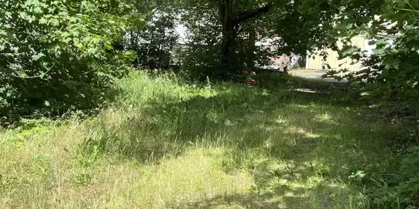 Image 4: main 1