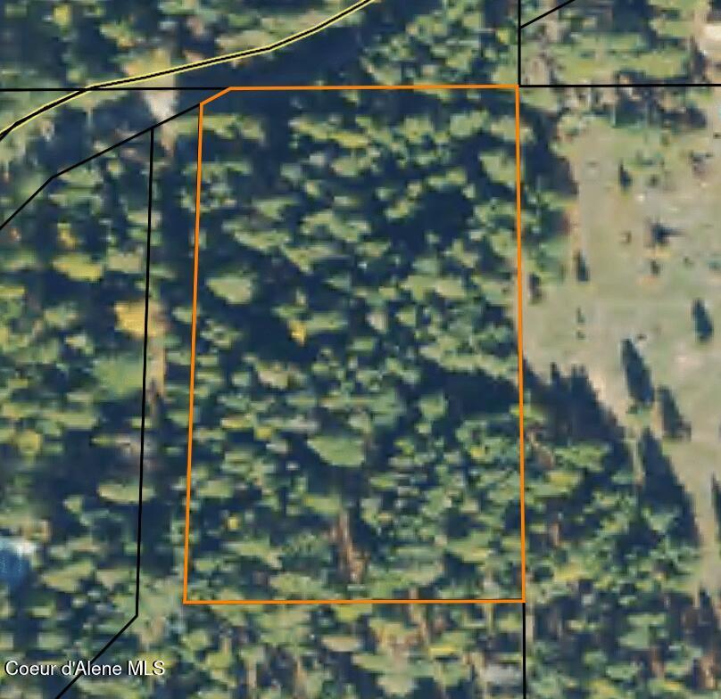 Image 3: Screenshot 2025-06-03 095021