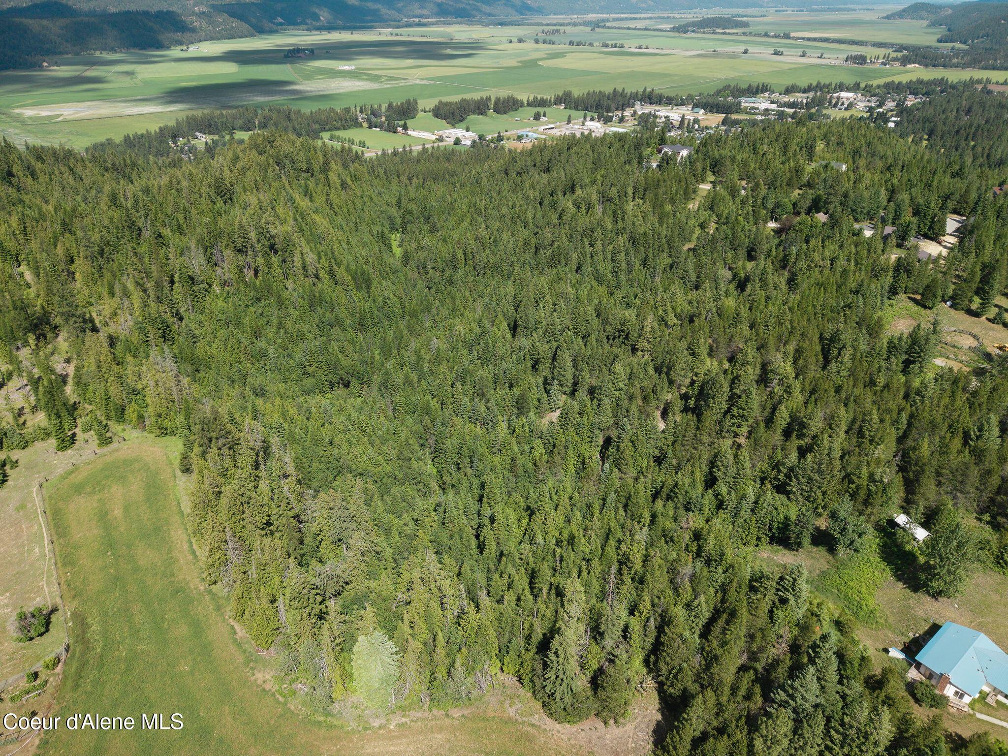 Image 3: 42_Acres_Treetop_Bluff00002