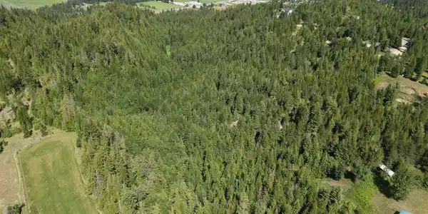 Image 3: 42_Acres_Treetop_Bluff00002