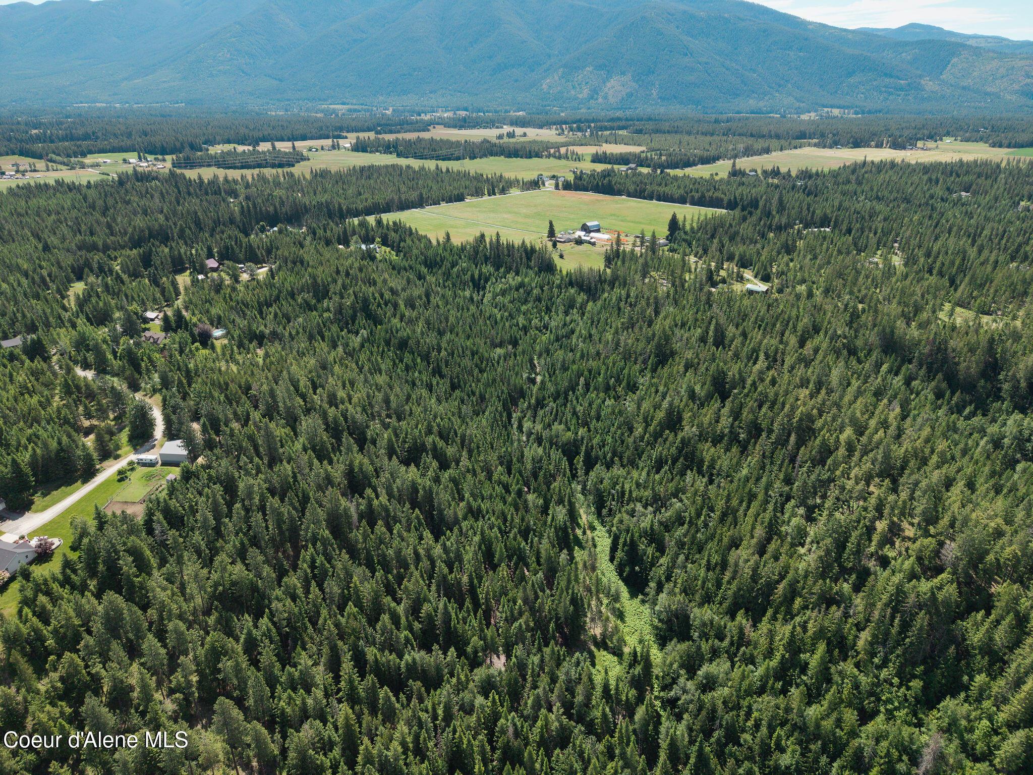 Image 4: 42_Acres_Treetop_Bluff00003