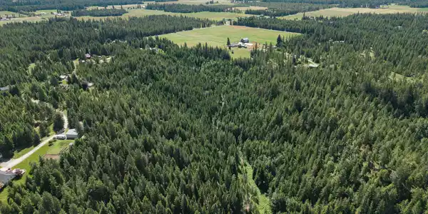 Image 4: 42_Acres_Treetop_Bluff00003