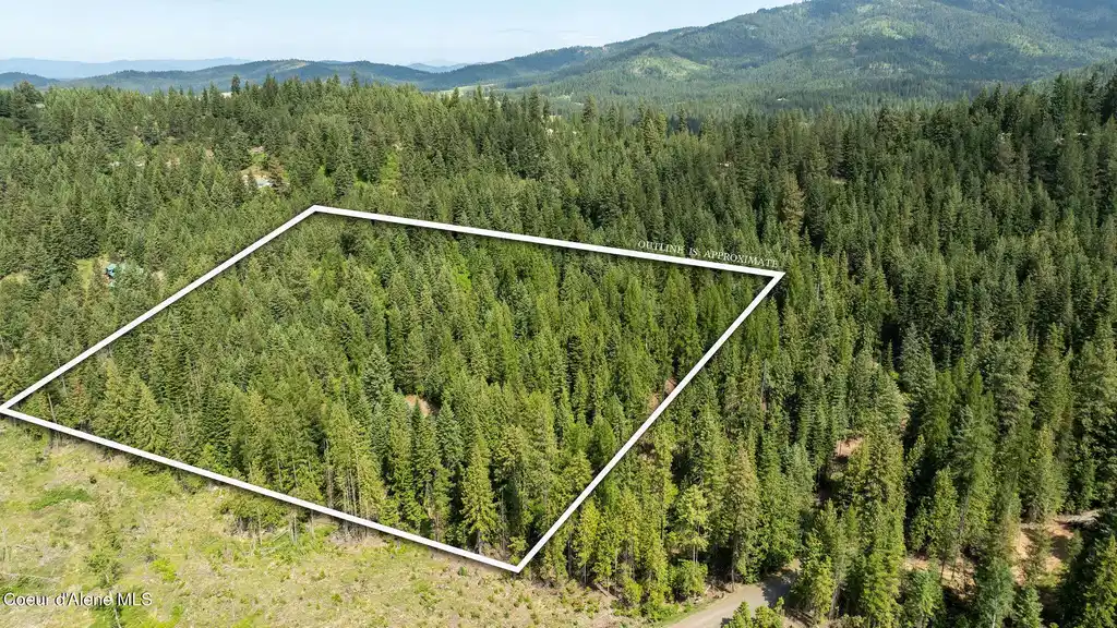 Image 1: DJI_0521outlined