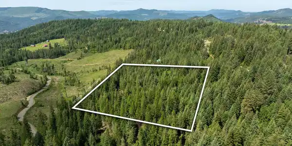 Image 3: DJI_0528outlined
