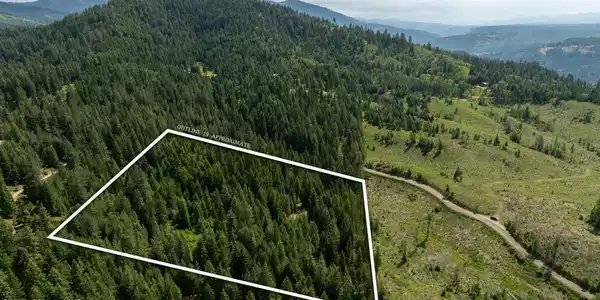 Image 4: DJI_0532outlined