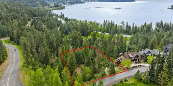 Image 3: Aerial
