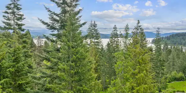 Image 4: Aerial