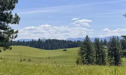 TBD Harris Ridge Rd Parcel 4