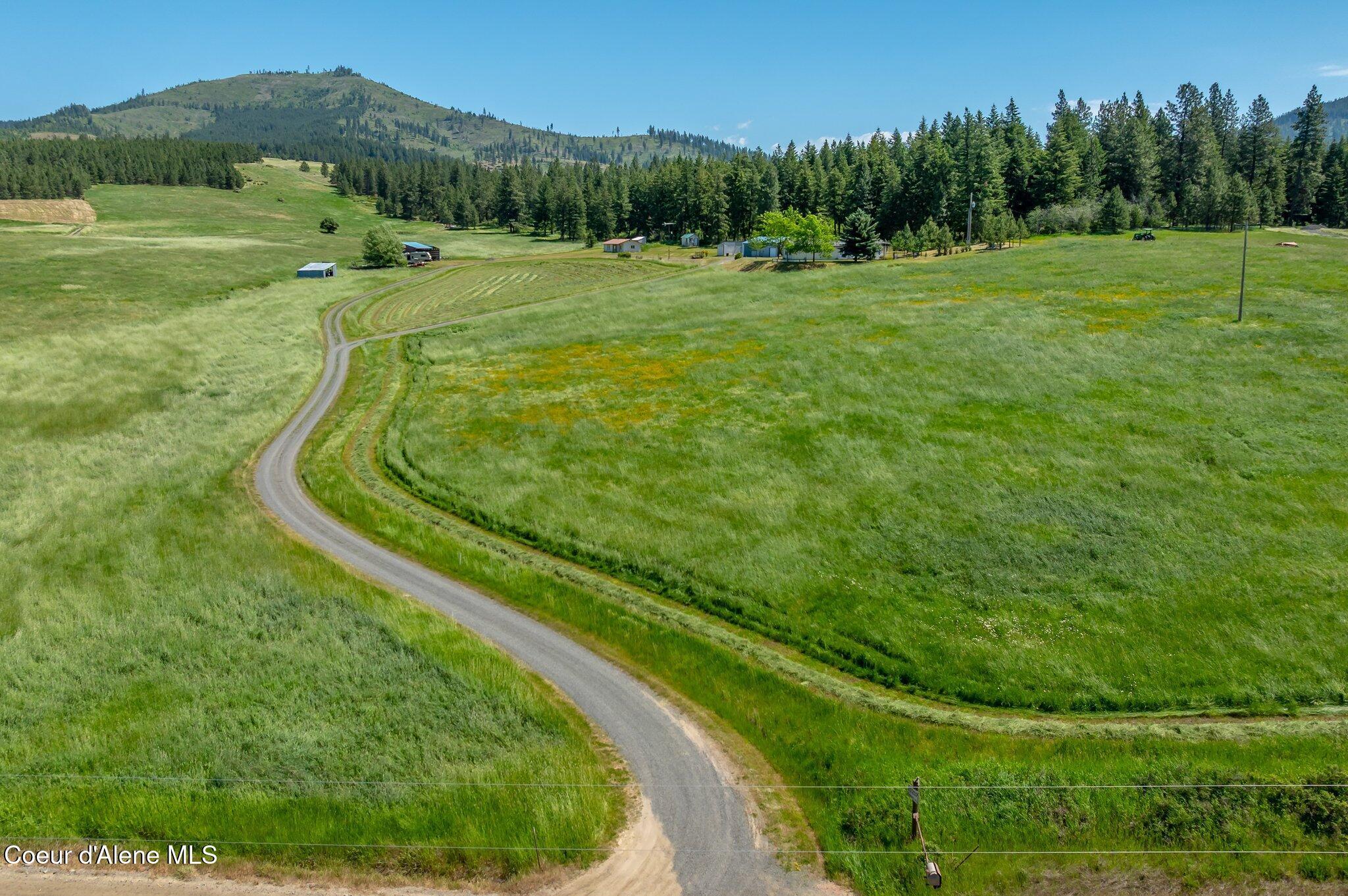 Image 4: RealVue - 2025 0610 - 10207 Sanders Rd-7