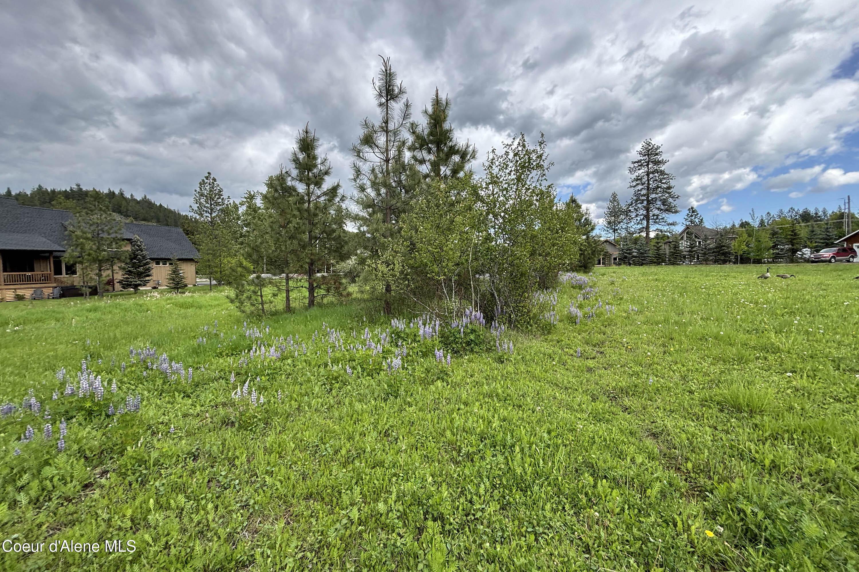 Image 4: NE View Lot 11 Hewitt Lane