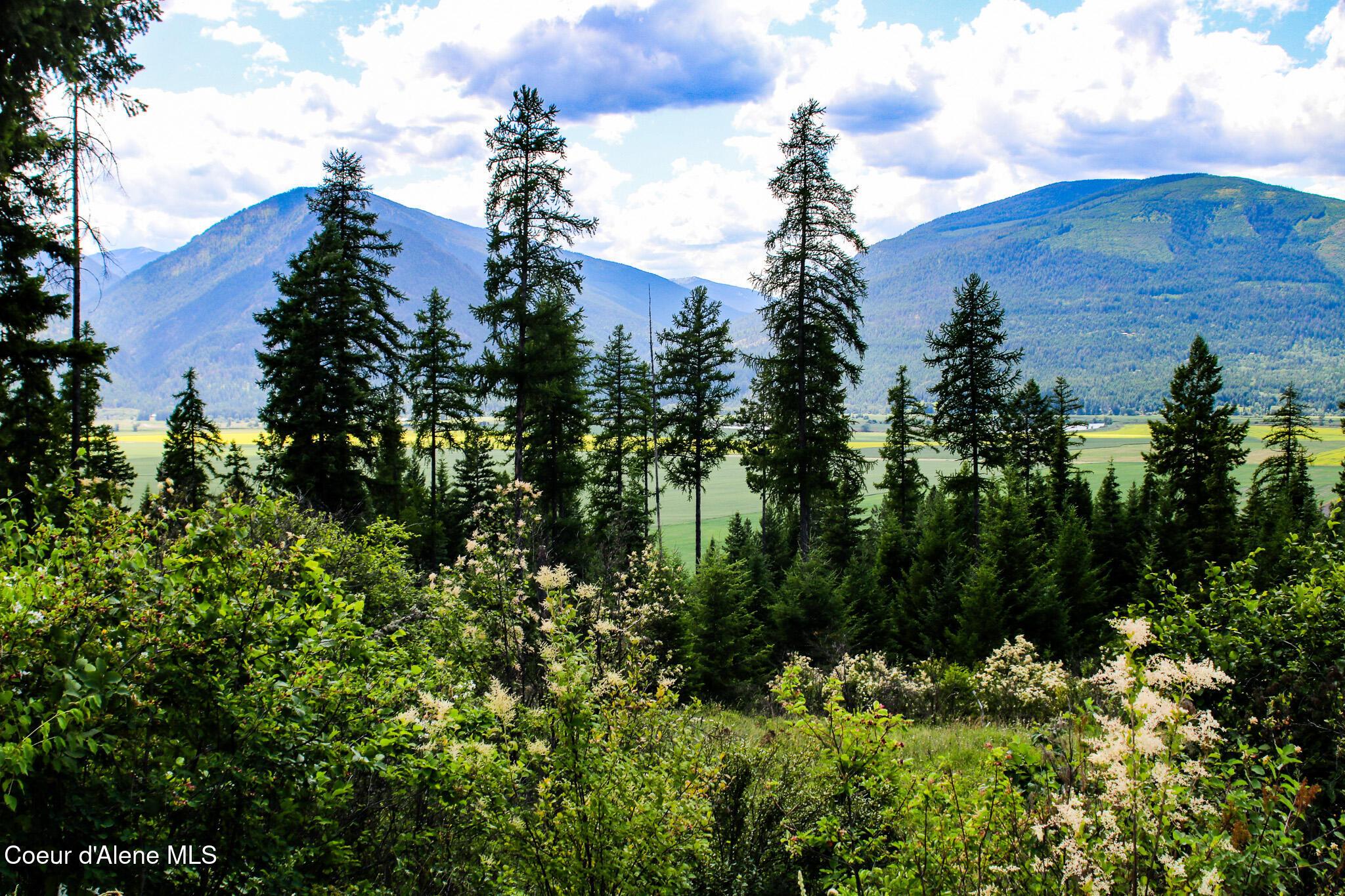 Image 1: View from Property