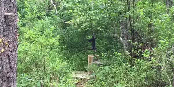 158 Dubius Creek Rd