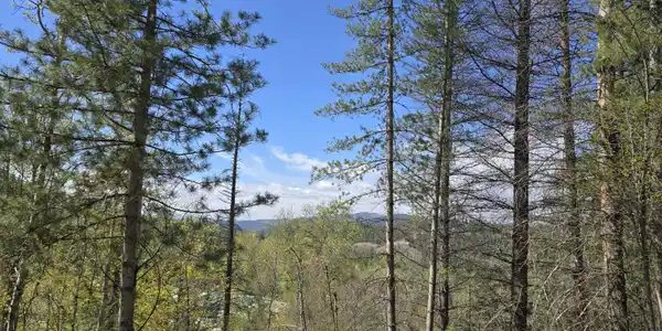 821 Lower Page Rd