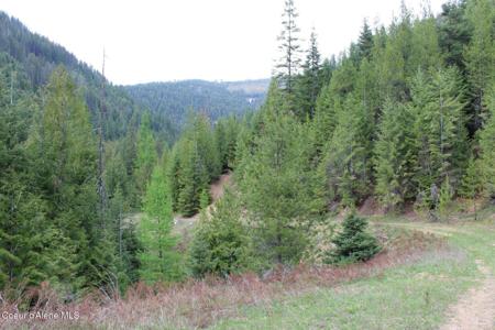 19a Daisy Gulch Rd