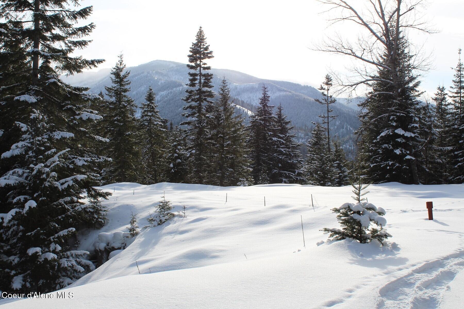 Image 2: West Side Meadow Winter