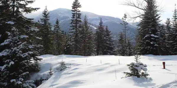 Image 2: West Side Meadow Winter