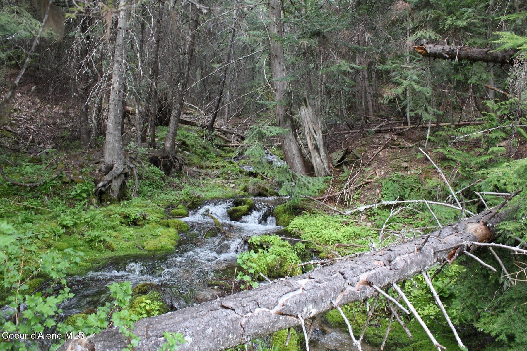 Image 3: Gentle Annie Creek