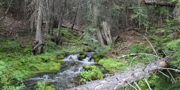 Image 3: Gentle Annie Creek
