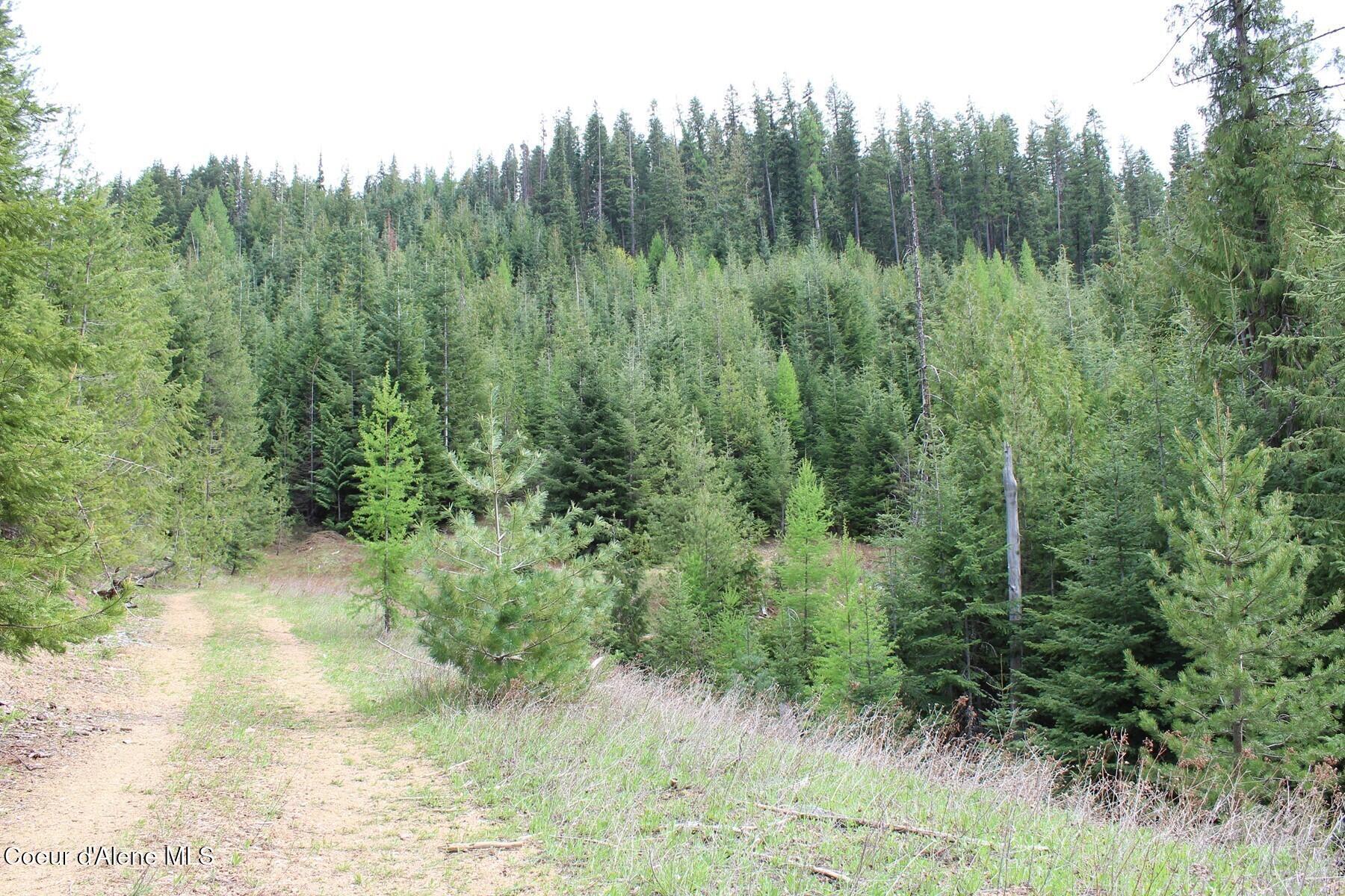 Image 4: East Interior 2