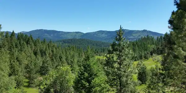 20 Acres S Starr Rd