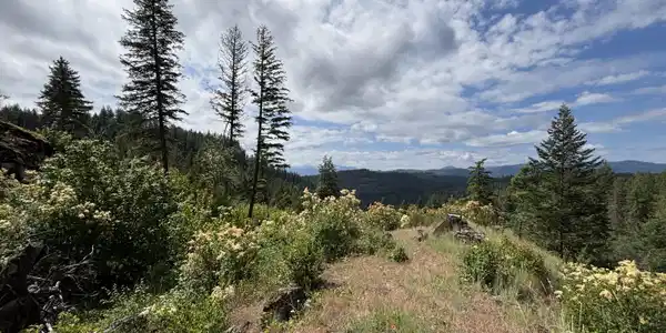 Image 2: View to south