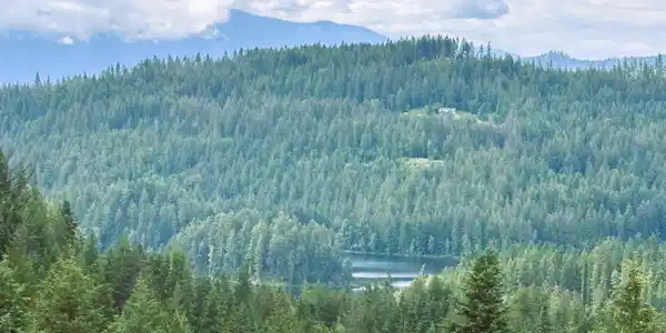 Image 3: Lake view