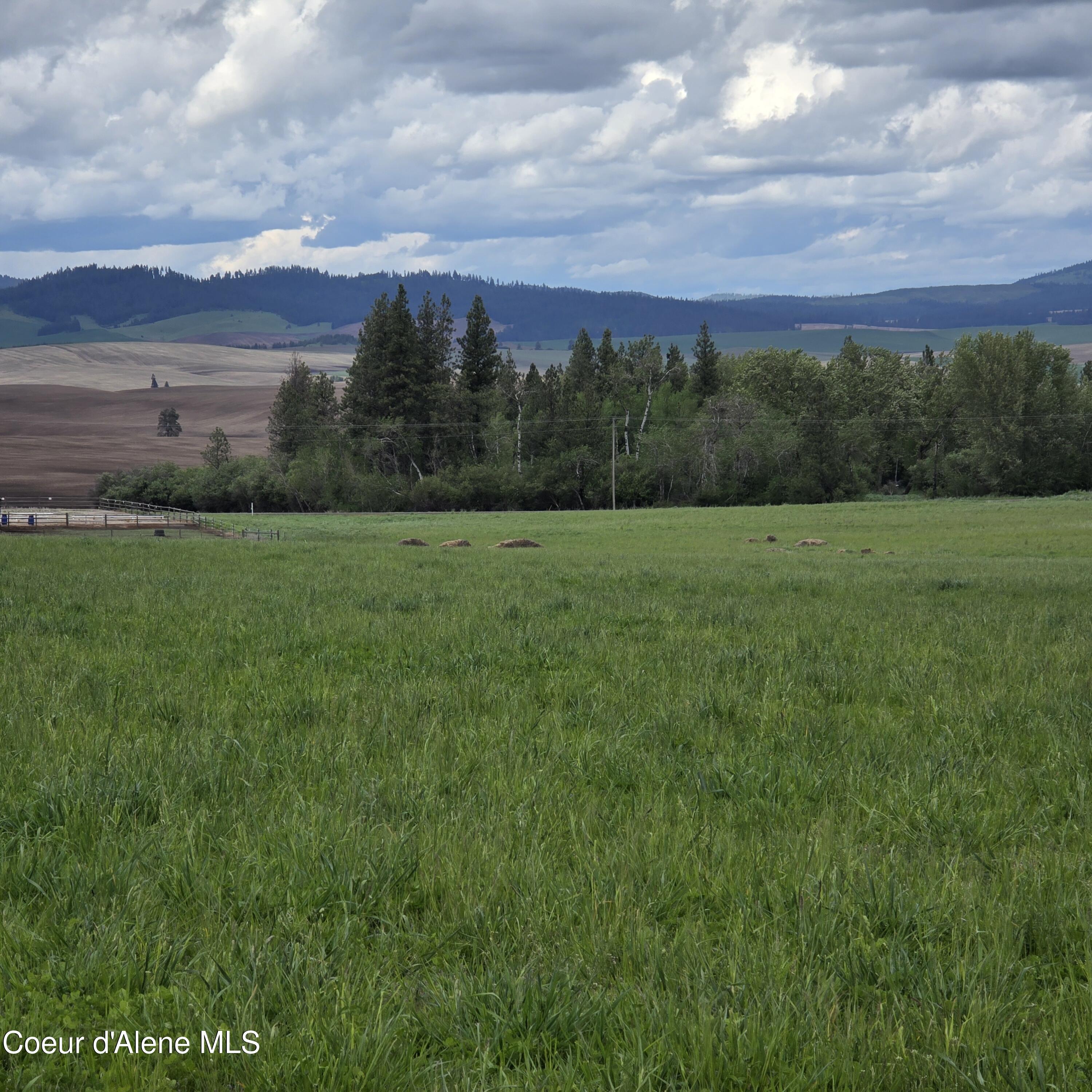 Image 4: 20260514_143559