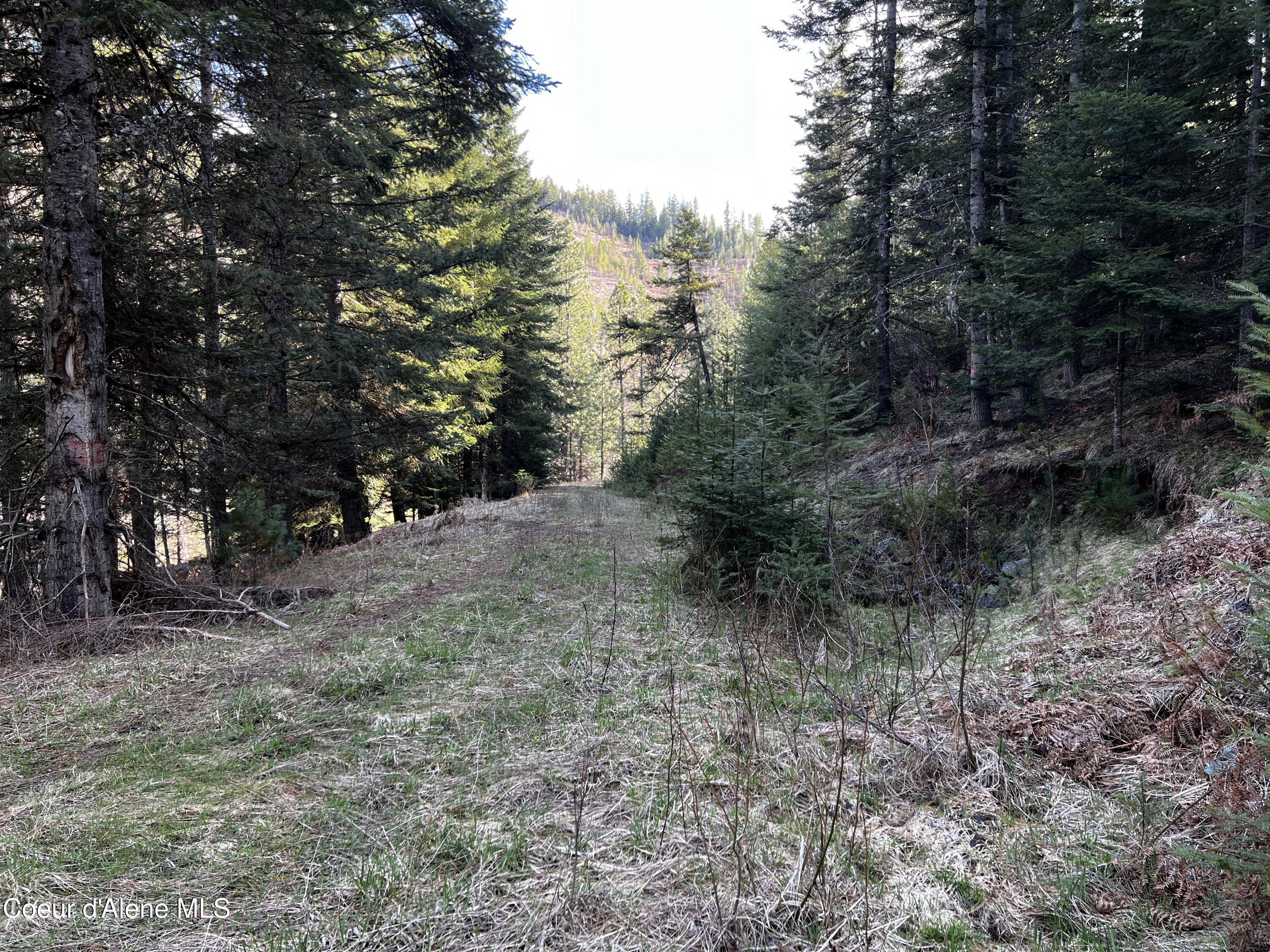Image 4: 4