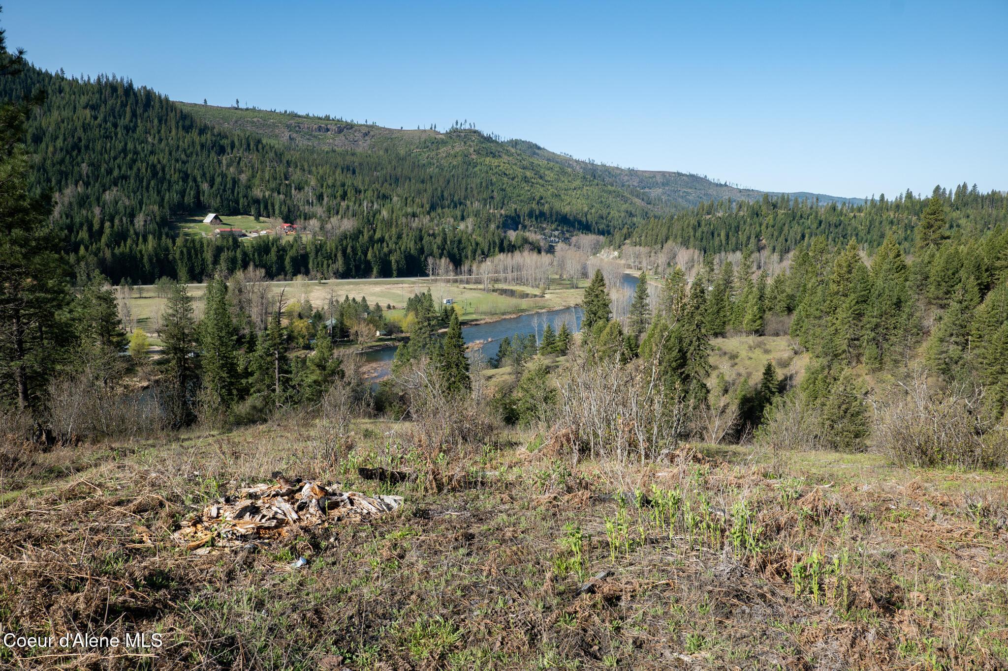 Image 3: NWLL Herrick-41
