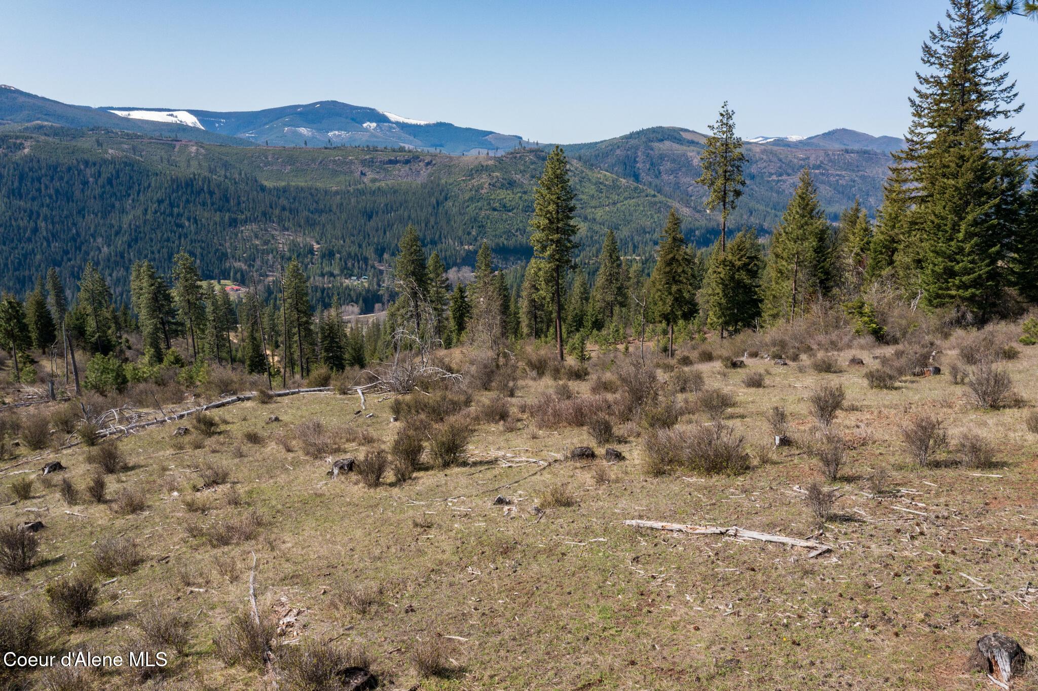 Image 4: NWLL Herrick-32