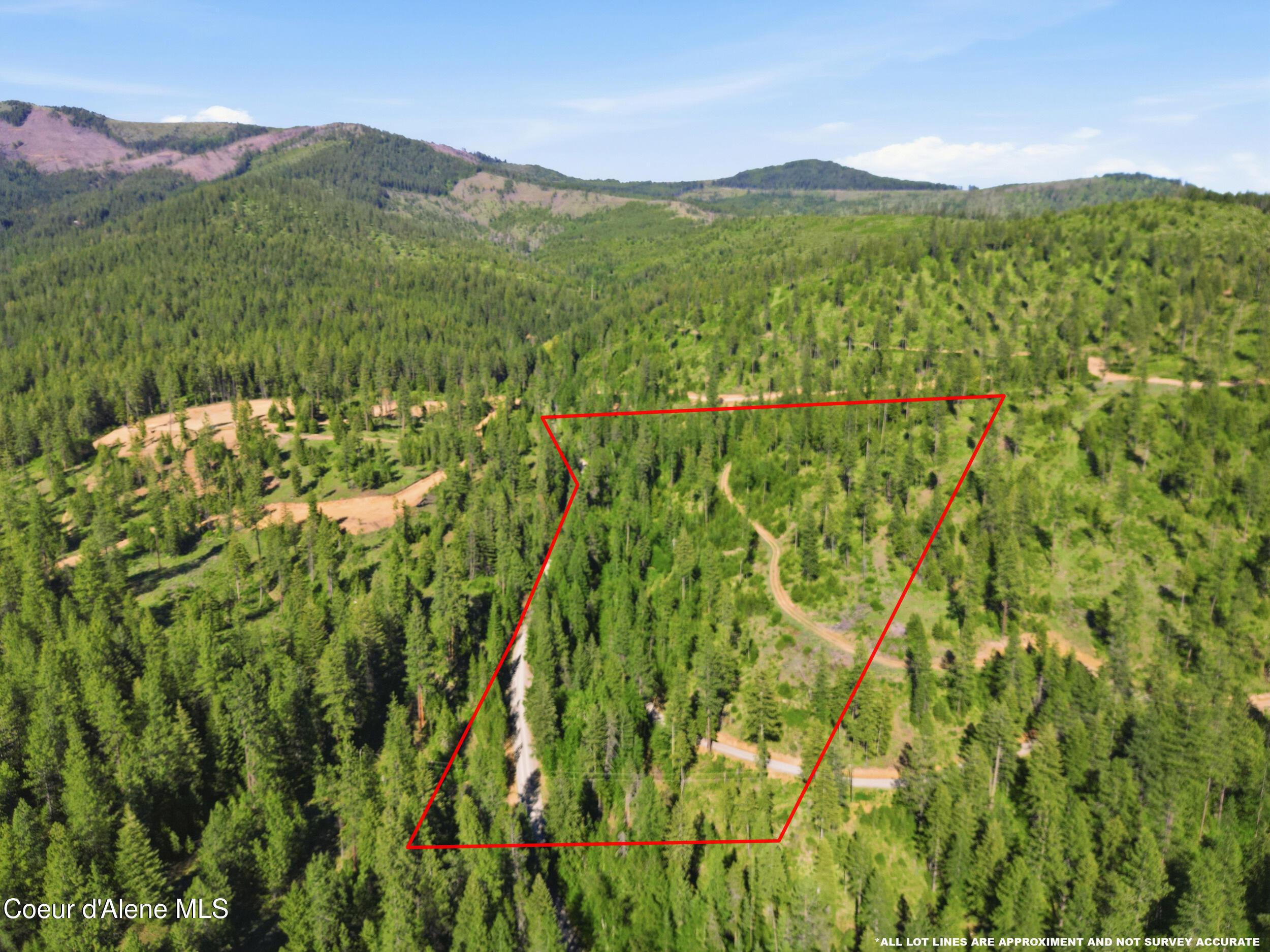 Image 3: 42_dji_0777 copy