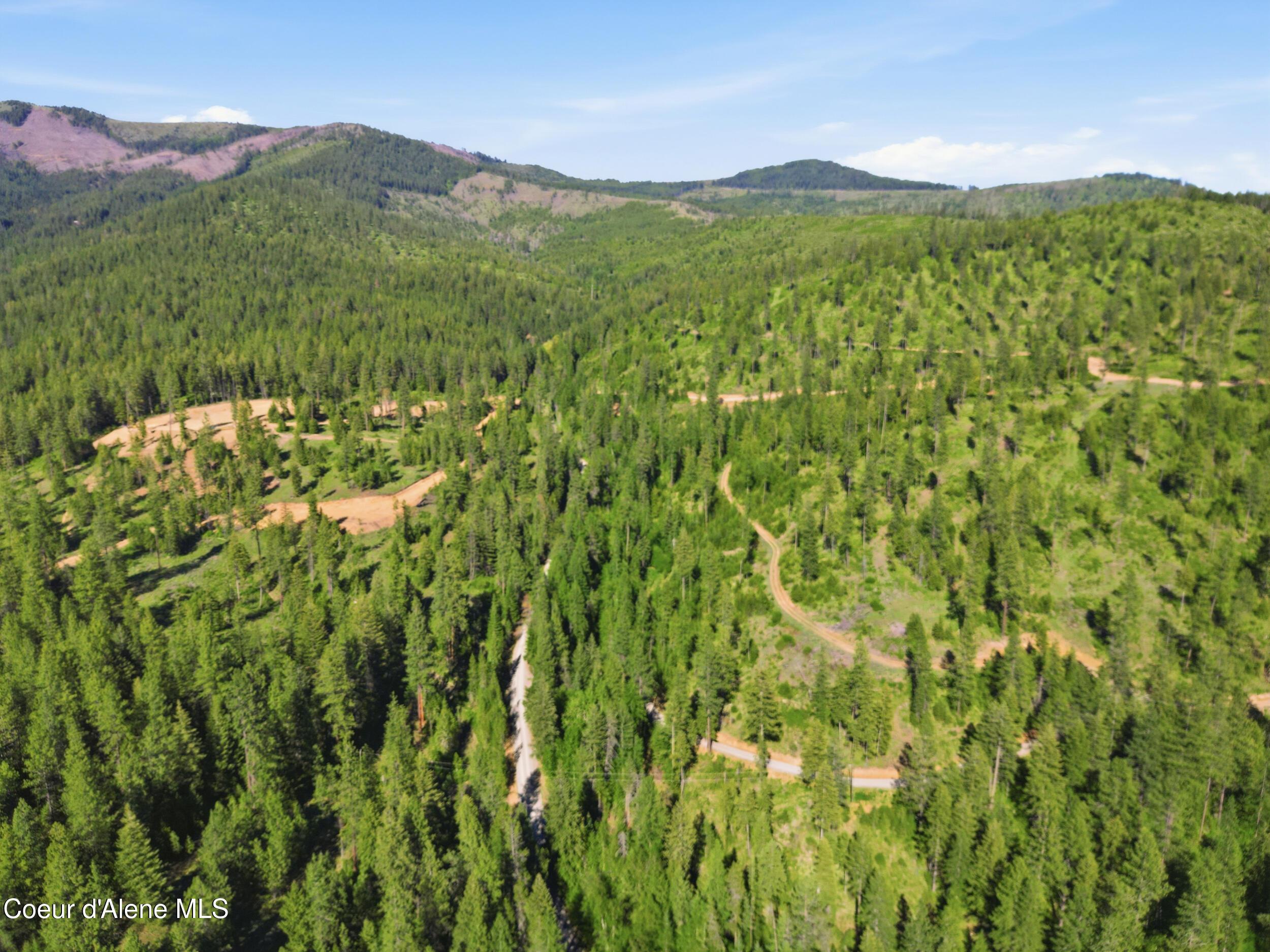 Image 4: 43_dji_0777