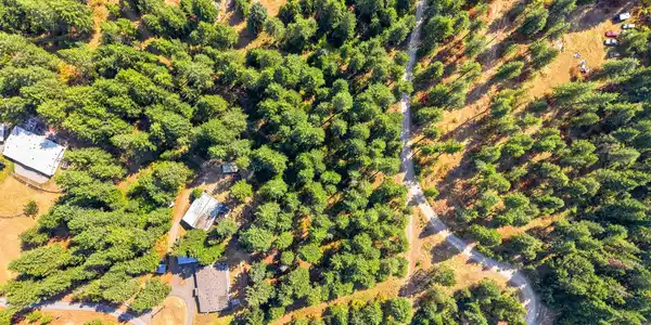 Image 3: 2_dji_20260818113343_0126_d