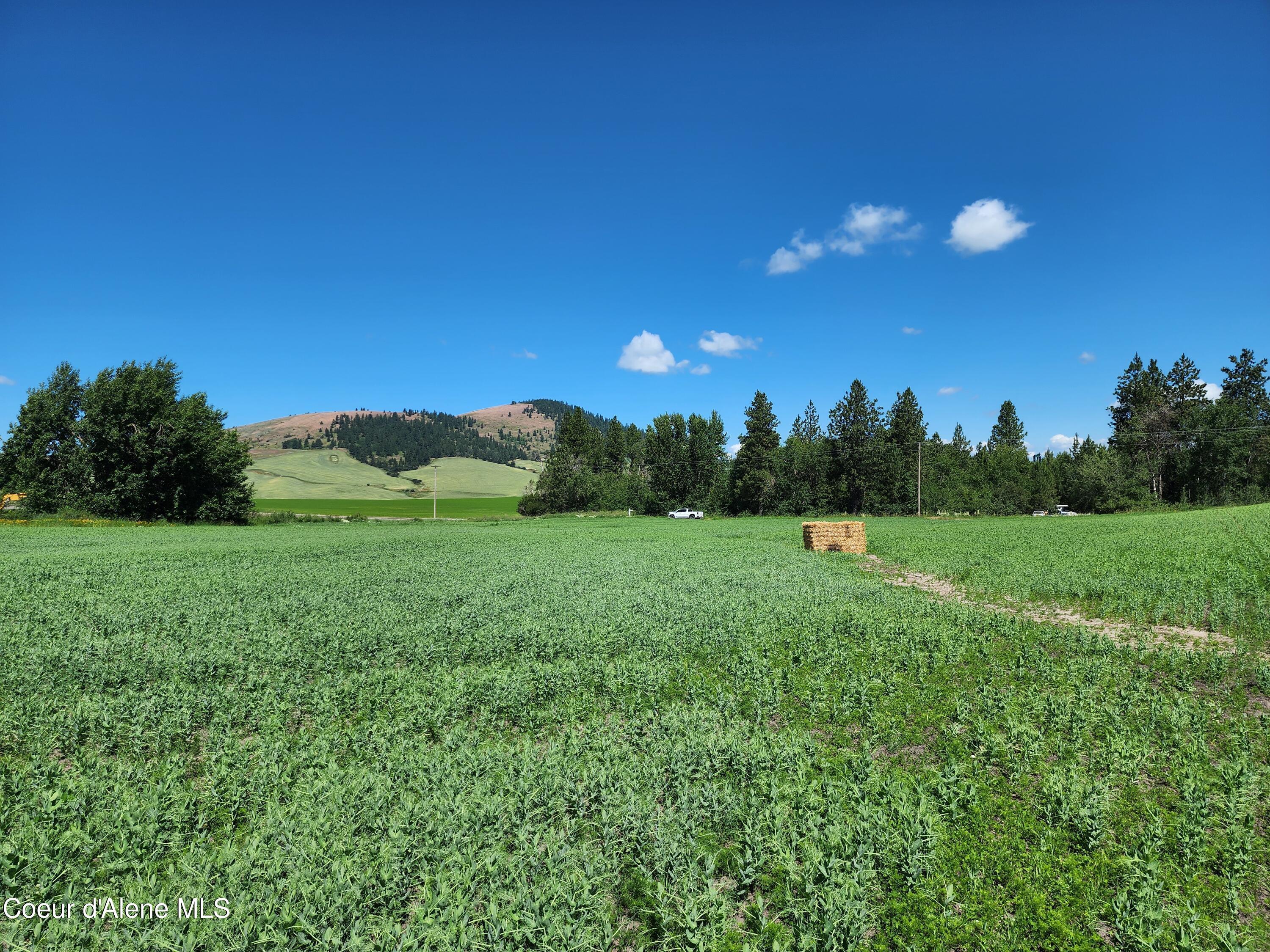 Image 4: Desmet Rd