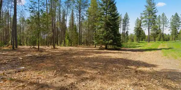 Image 3: 10-NKA-10Ac E Parks Rd_RedHogMedia