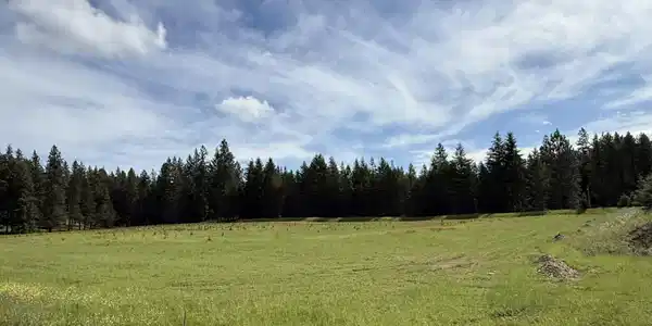 Image 3: Open lot with big sky views.