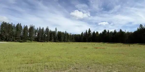 Image 4: 6.3 acres to personalize and call home.