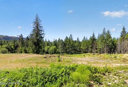 197 Schneiders RD