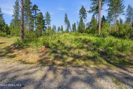 NNA Stone Rd Lot 5 (20.0 Acres)