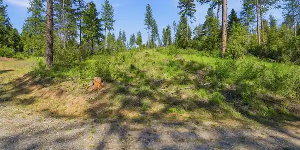 NNA Stone Rd Lot 5 (20.0 Acres)