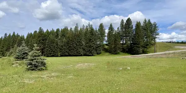 Image 2: 5.3 acres to make your own.