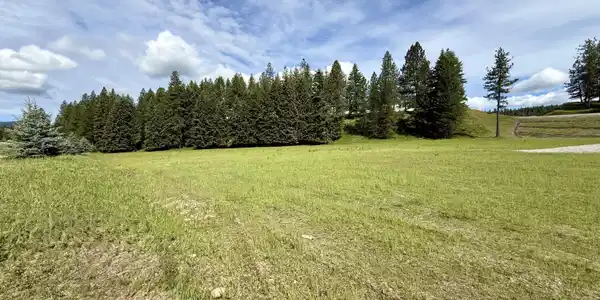 Image 4: Level building area and large trees.