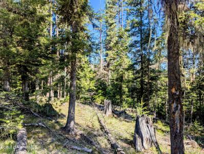 Sheep Creek Rd