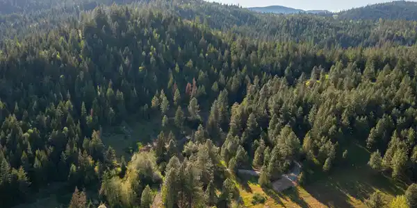 NNA W Biggs Rd. Lot 2