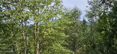 NNA Juniper lane 10 acres #1